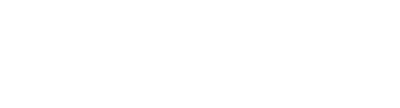 Palmea-Logo-White-e1770695303521.png